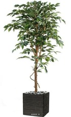 Ficus benjamina artificiel vert grande feuille1 tronc naturel en pot tronc natur
