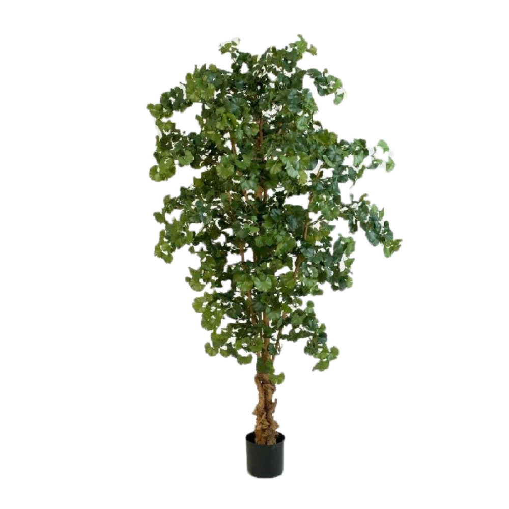Gingko forestier artificiel h 210 cm 1612 feuilles en pot
