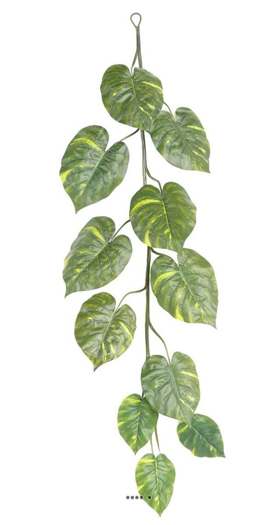 Guirlande géante de pothos artificiel h 180 cm d 55 cm superbe
