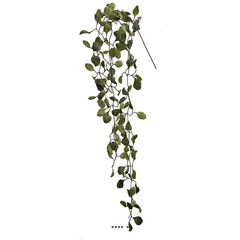 Branche d'eucalyptus artificiel retombant l125 cm vert