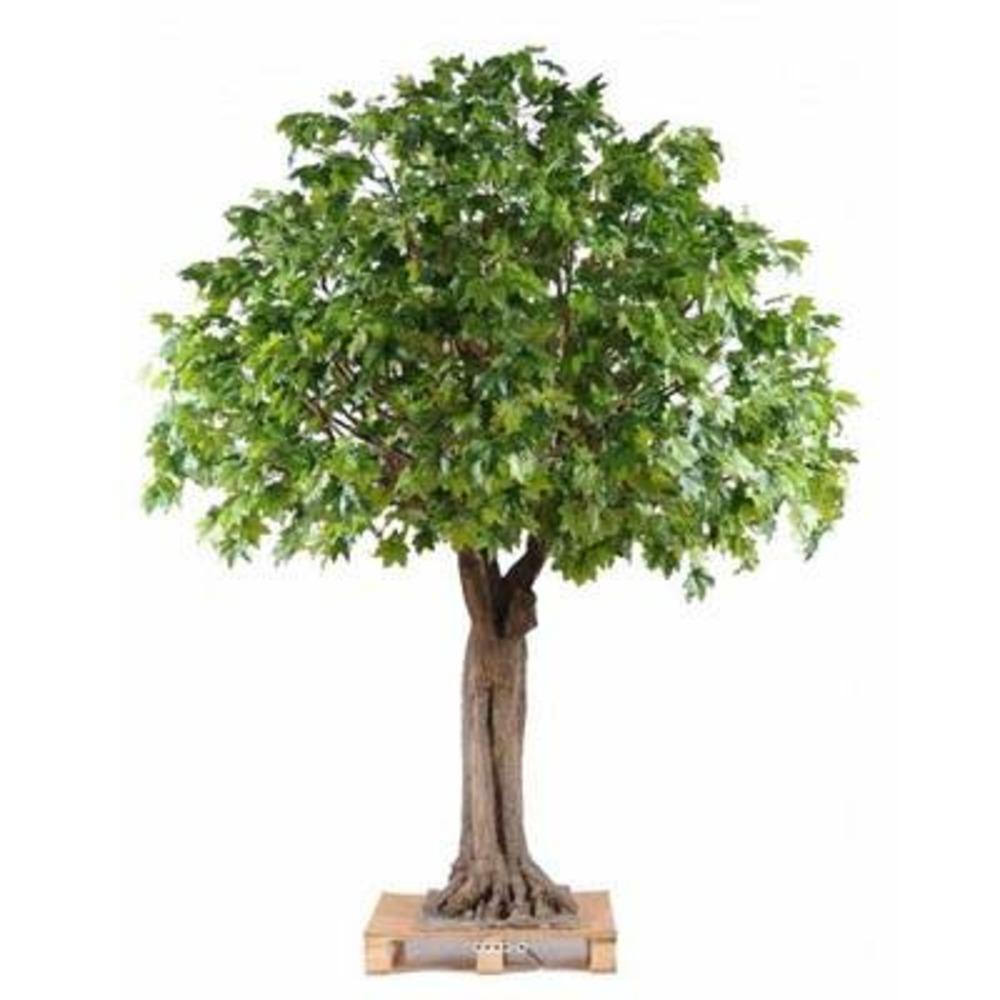 Platane arbre factice h490cm l380cm tronc bois & fibre verre platine - dimhaut:
