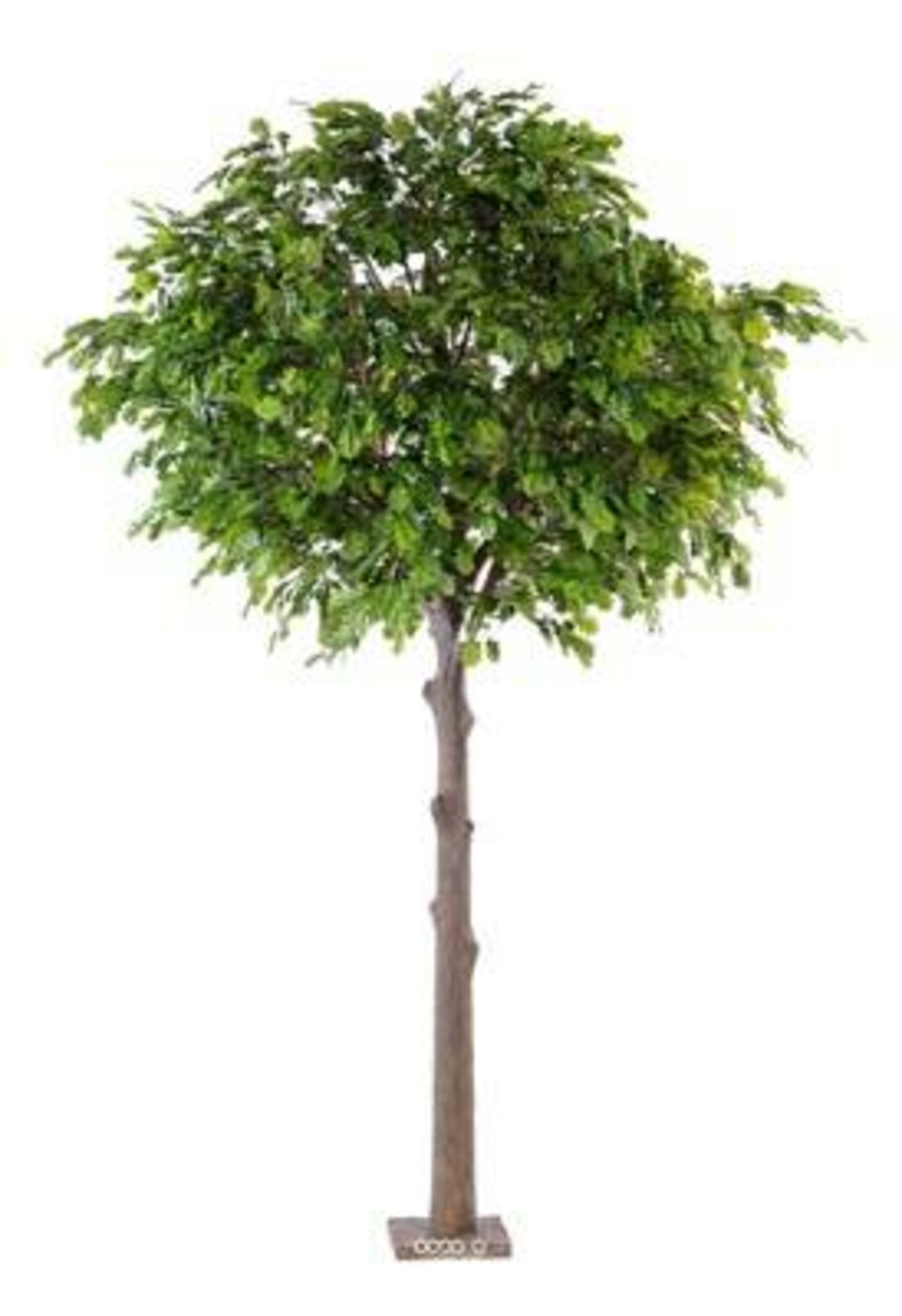 Chene arbre artificiel h400 cm l280 cm tronc bois et fibre sur platine - dimhaut