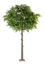 Chene arbre artificiel h 400 cm l 280 cm tronc bois et fibre sur platine - dimha