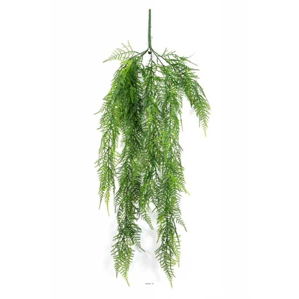 Chute d'asparagus artificiel l 75cm vert