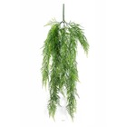 Chute d'asparagus artificiel l 75cm vert