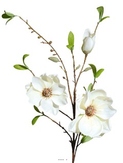 Magnolia artificiel h 90 cm crème en branche 2 fleurs et 1 bouton - couleur: crè