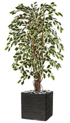 Ficus lianes artificiel panache h 120 cm 432 feuilles en pot - dimhaut: h 120 cm