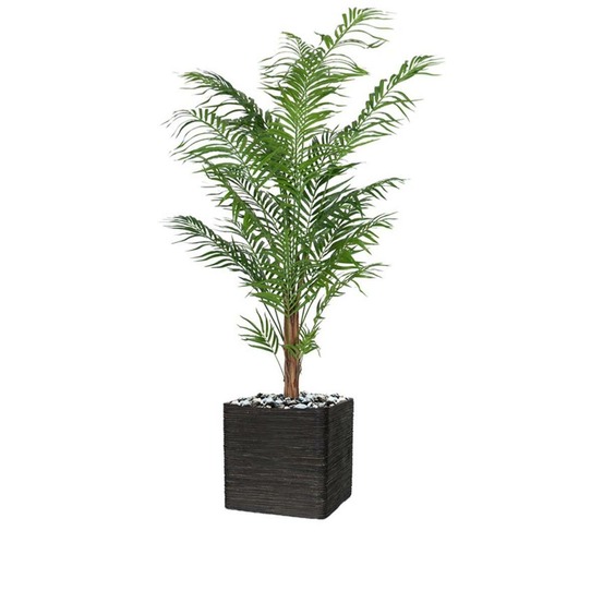 Palmier areca artificiel h 210 cm sur tronc en pot - dimhaut: h 210 cm - couleur