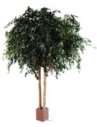 Ficus exotica 2 troncs artificiel vert h 480 cm l 300 cm 16140 feuilles en pot -