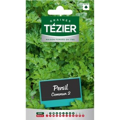 Tezier - persil commun 2