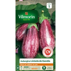 Vilmorin - aubergine listada gandia