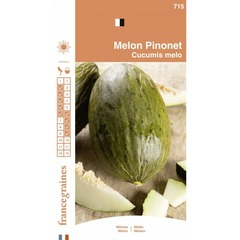 France graines - melon pinonet