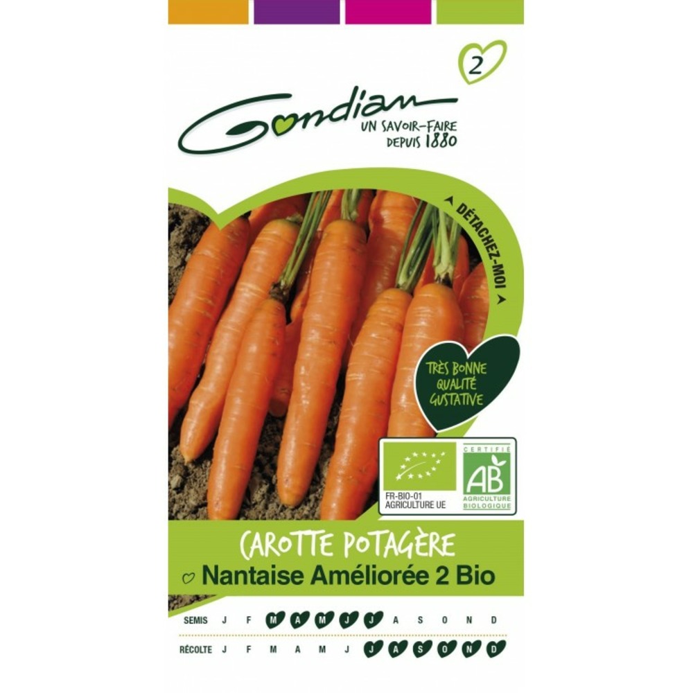 Carotte potagère nantaise