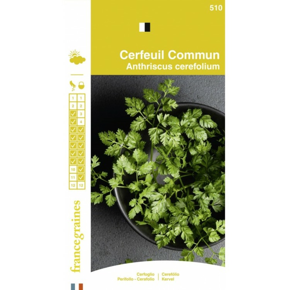France graines - cerfeuil commun