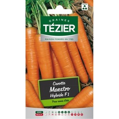 Tezier - carotte maestro hf1