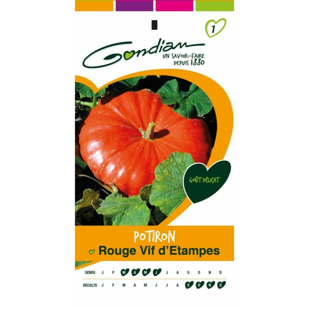 Potiron rouge vif d'etampes