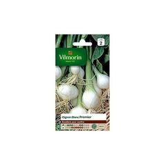 Vilmorin - oignon blanc premier