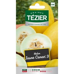Tezier - melon jaune canari 3