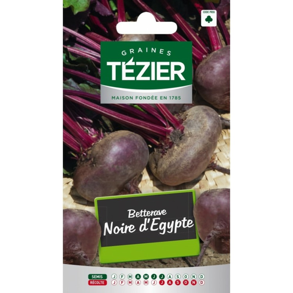 Betterave noire d'egypte