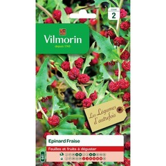 Vilmorin - epinard fraise