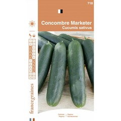 France graines - concombre marketer