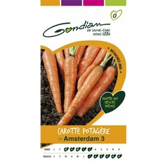 Gondian - carotte potagère amsterdam 3