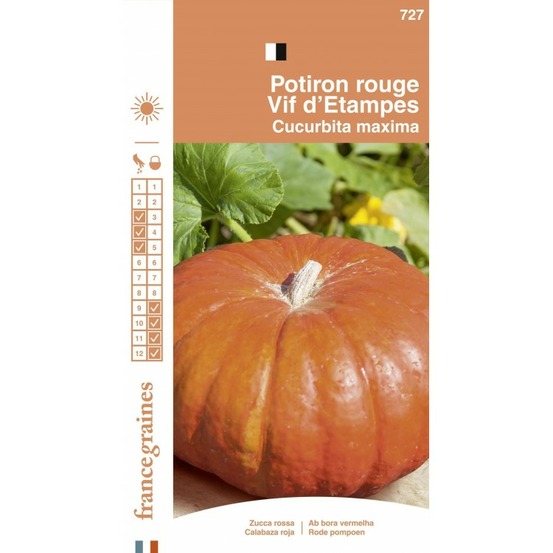 France graines - potiron vif d'etampes