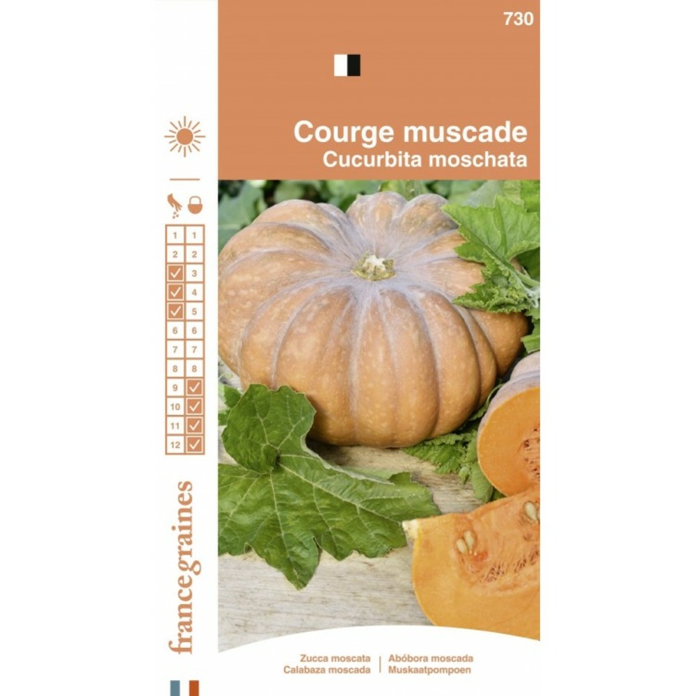 France graines - courge muscade