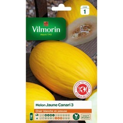 Vilmorin - laitue romaine melon jaune canari 3 - cm