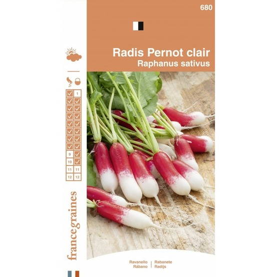 France graines - radis pernot clair
