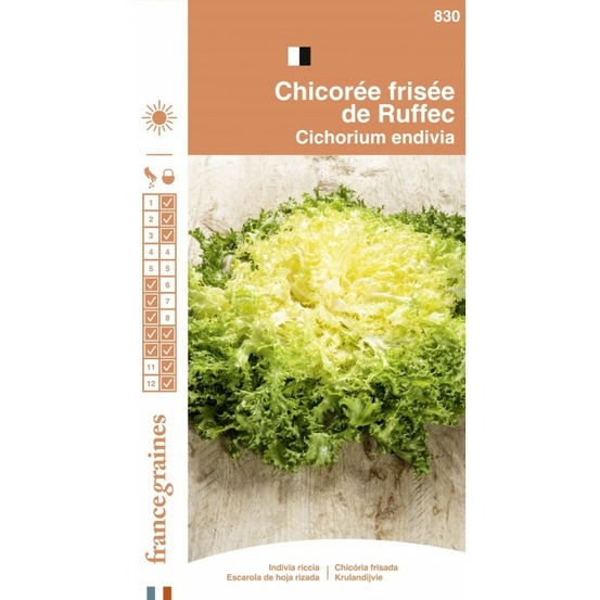 France graines - chicorée frisée de ruffec