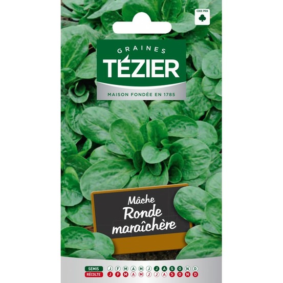 Mâche ronde maraîchère
