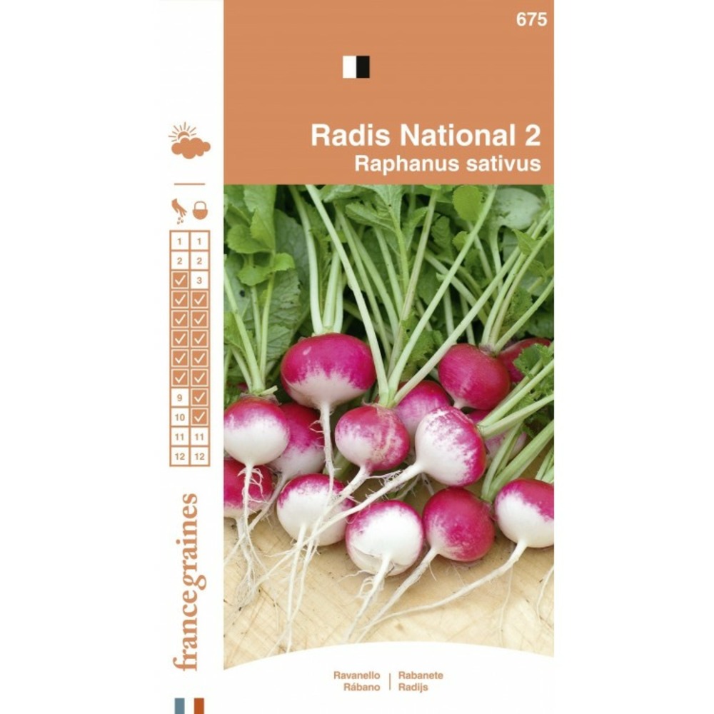 France graines - radis national