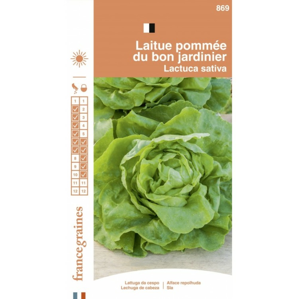France graines - laitue pommée bon jardinnier