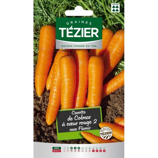 Carotte de colmar à cœur rouge 2 race flamir fort grammage