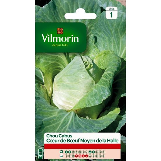 Chou blanc cœur de bœuf moyen de la halle