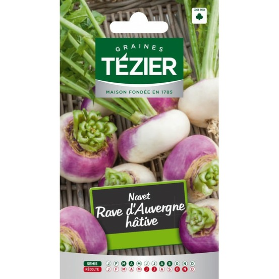 Navet rave d'auvergne hâtive