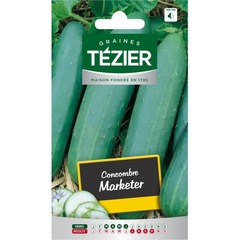 Tezier - concombre marketer (e,b,)