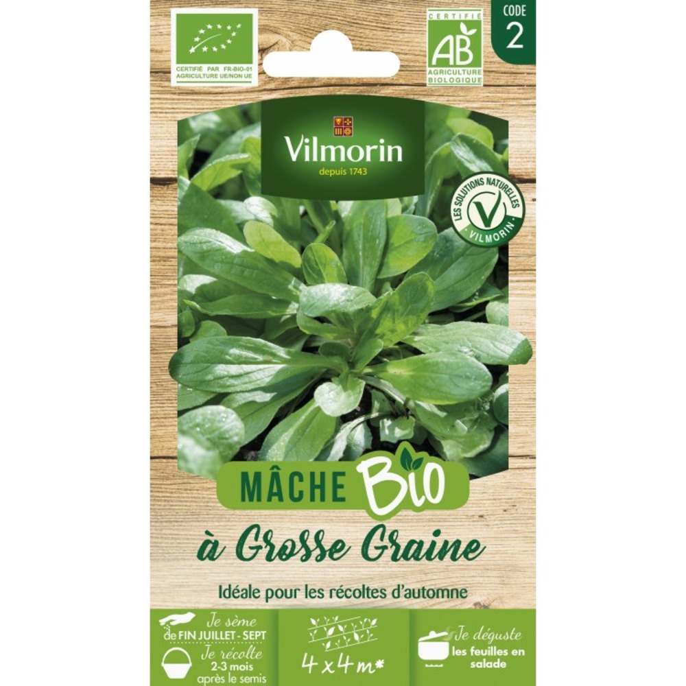 Vilmorin mache grosse graine bio