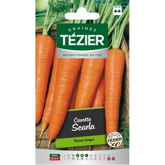 Tezier - carotte scarla