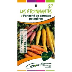 Gondian - carotte - panaché de carottes - les etonnantes