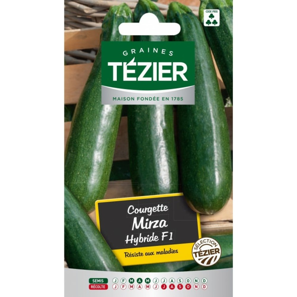 Courgette mirza hf1