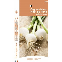France graines - oignon blanc hatif de paris