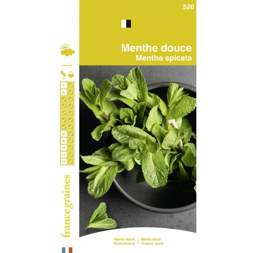 France graines - menthe douce