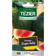 Tezier - pastèque sugar baby (melon d'eau)