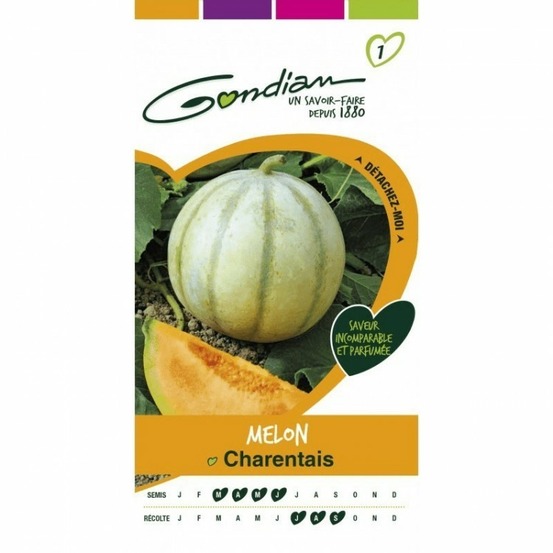 Melon charentais
