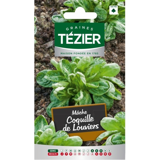 Mâche coquille de louviers