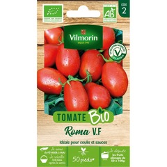 Vilmorin - tomate roma bio vf