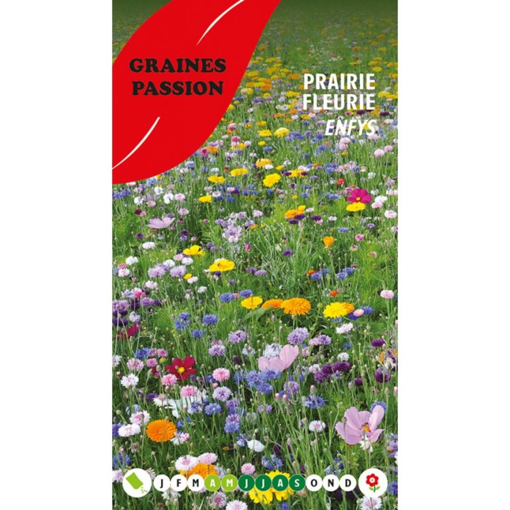 Graines passion , sachet de graines prairie fleurie enfys