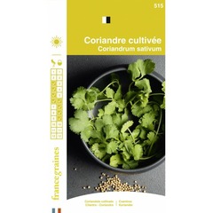 France graines - coriandre cultivée